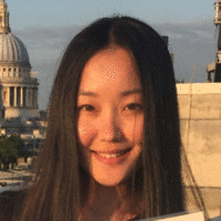 Luyi Wang