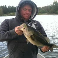 Shane Wray