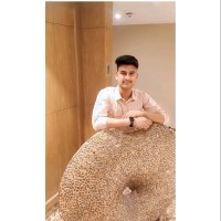 Ajay Baghe