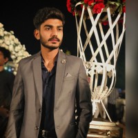 Ali Hamza