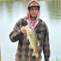Austen Colvin