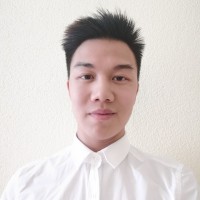 Duc Pham Ngoc