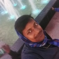 Amaresh Ray
