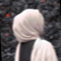 Aysha Amani Hisham