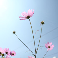 钟瑞炎