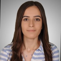 Ahin Akgül
