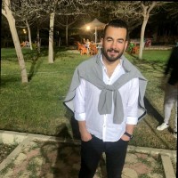 Hesham Elalfi
