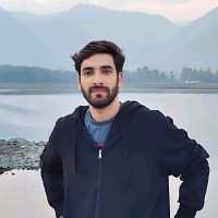 Danish Hamid