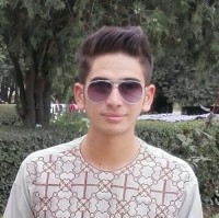 Sayed Hasib