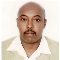 Essam Hassan