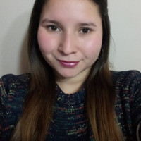 Carolina Calquin Bravo