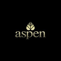 Aspen Services Group