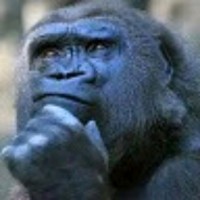 Sergio Jelincic Del Campo