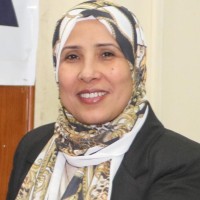 Amany Elsayed