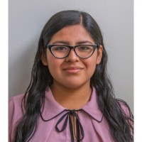 Valeria Palomino Figueroa
