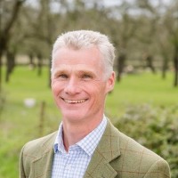 Martin Rossiter