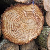 Juan Daniel García Villabrille