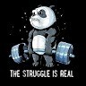I PanDa