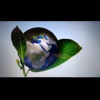 Market Value Consulting