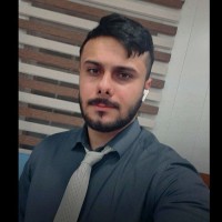 Houssien Ali