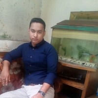 Anis Sarker