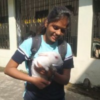 Manju Mahobiya