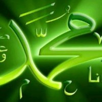 Mohamed Hashem