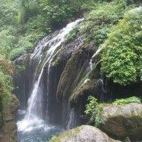 向士涛