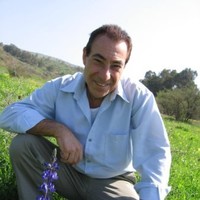 Arie Gazoly