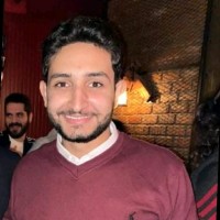 Mina Hisham
