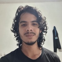 Luiz Henrique Da Cruz Rodrigues
