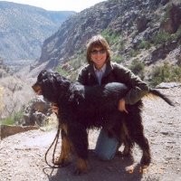 Dawn Gwin