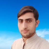 Salim Ullah
