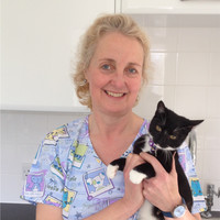 Stephanie Writer-Davies