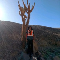 Sebastian Morales Munita