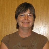 Lesley Rhys-Williams