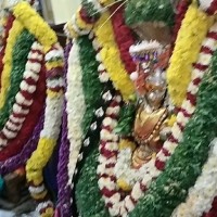 Chaitrashree N Chaitrashree N