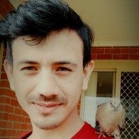 Dhiraj Thapa