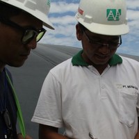 M. Arif