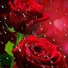 Amutha R