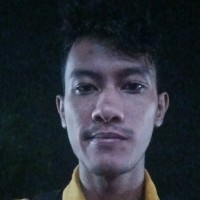 Shandy B
