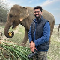 Rishabh Mehta