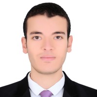 Abdallah E. Ahmed