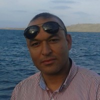 Mohamed Abdelfatah Amer - Mba, Pmp®, Prmg.