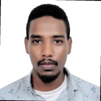 Abdul Hmeed Abdul Moneim