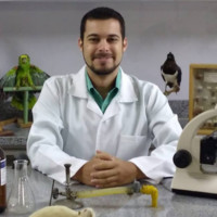 Luis Henrique Romano