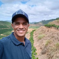 Flavio Gomes