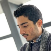 Mohammad Hasan Haghdaee