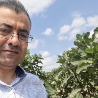omar assi