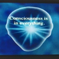 Gregory John Coghlan